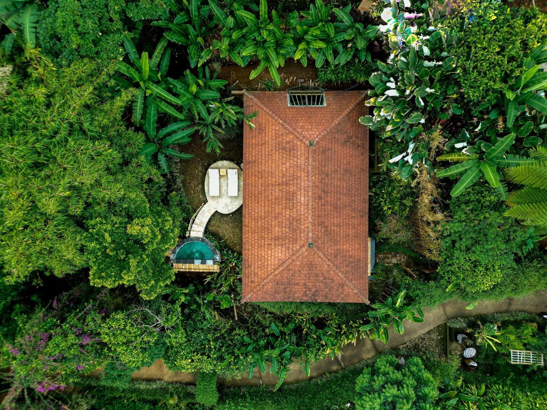 Munduk Moding Plantation Nature Resort Exterior foto